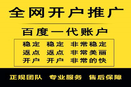 搜索引擎营销（SEM）竞价策略案例